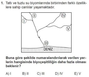 11. Sınıf Coğrafya Test 3 Soru-1