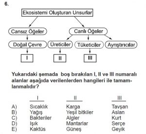 11. Sınıf Coğrafya Test 3 Soru-6
