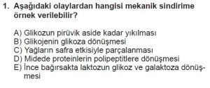 12. Sınıf Biyoloji Test 1 Soru-1