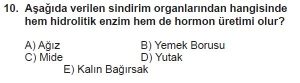 12. Sınıf Biyoloji Test 1 Soru-10
