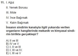 12. Sınıf Biyoloji Test 1 Soru-11