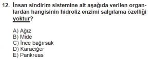 12. Sınıf Biyoloji Test 1 Soru-12