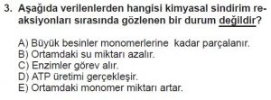 12. Sınıf Biyoloji Test 1 Soru-3