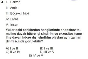 12. Sınıf Biyoloji Test 1 Soru-4