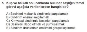 12. Sınıf Biyoloji Test 1 Soru-5