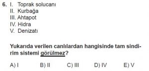12. Sınıf Biyoloji Test 1 Soru-6