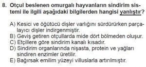 12. Sınıf Biyoloji Test 1 Soru-8