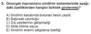 12. Sınıf Biyoloji Test 1 Soru-9