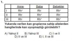 12. Sınıf Biyoloji Test 10 Soru-1