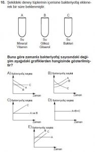 12. Sınıf Biyoloji Test 10 Soru-10