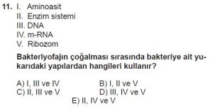 12. Sınıf Biyoloji Test 10 Soru-11