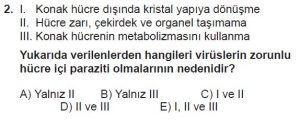 12. Sınıf Biyoloji Test 10 Soru-2