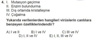 12. Sınıf Biyoloji Test 10 Soru-4