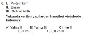 12. Sınıf Biyoloji Test 10 Soru-6