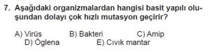12. Sınıf Biyoloji Test 10 Soru-7