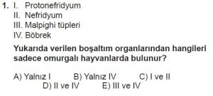 12. Sınıf Biyoloji Test 11 Soru-1