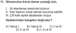 12. Sınıf Biyoloji Test 11 Soru-11