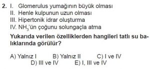 12. Sınıf Biyoloji Test 11 Soru-2