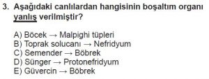 12. Sınıf Biyoloji Test 11 Soru-3