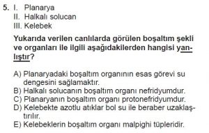 12. Sınıf Biyoloji Test 11 Soru-5