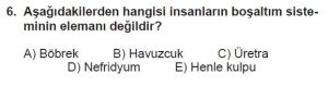 12. Sınıf Biyoloji Test 11 Soru-6