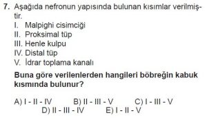 12. Sınıf Biyoloji Test 11 Soru-7