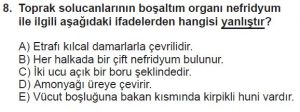 12. Sınıf Biyoloji Test 11 Soru-8