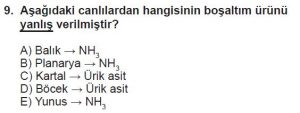 12. Sınıf Biyoloji Test 11 Soru-9