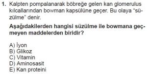 12. Sınıf Biyoloji Test 12 Soru-1