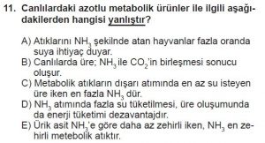 12. Sınıf Biyoloji Test 12 Soru-11