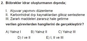 12. Sınıf Biyoloji Test 12 Soru-2