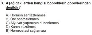 12. Sınıf Biyoloji Test 12 Soru-3
