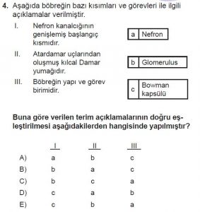 12. Sınıf Biyoloji Test 12 Soru-4