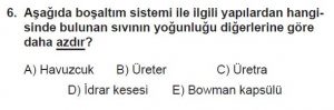 12. Sınıf Biyoloji Test 12 Soru-6