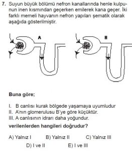 12. Sınıf Biyoloji Test 12 Soru-7