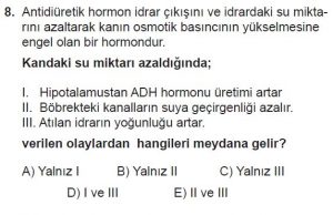 12. Sınıf Biyoloji Test 12 Soru-8