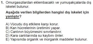 12. Sınıf Biyoloji Test 13 Soru-1
