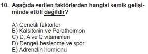 12. Sınıf Biyoloji Test 13 Soru-10