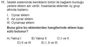 12. Sınıf Biyoloji Test 13 Soru-11