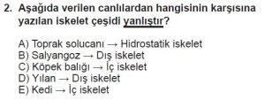 12. Sınıf Biyoloji Test 13 Soru-2
