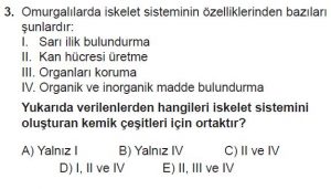 12. Sınıf Biyoloji Test 13 Soru-3