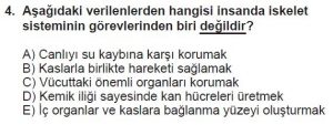 12. Sınıf Biyoloji Test 13 Soru-4