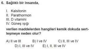 12. Sınıf Biyoloji Test 13 Soru-6