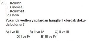 12. Sınıf Biyoloji Test 13 Soru-7