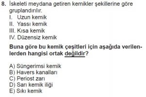 12. Sınıf Biyoloji Test 13 Soru-8