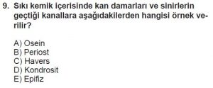 12. Sınıf Biyoloji Test 13 Soru-9