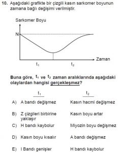 12. Sınıf Biyoloji Test 14 Soru-10