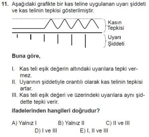 12. Sınıf Biyoloji Test 14 Soru-11