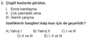 12. Sınıf Biyoloji Test 14 Soru-2