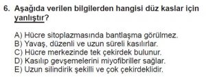12. Sınıf Biyoloji Test 14 Soru-6
